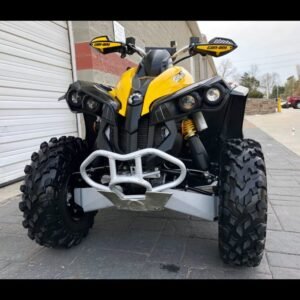 2011 Can-Am Renegade 800R XC