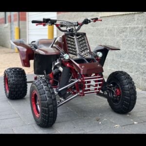 Banshee Quad Bike