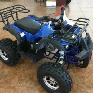 2021 TAO MOTOR T FORCE 125ATV