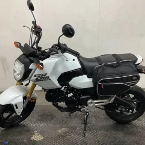 2025 HONDA GROM