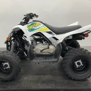 2022 YAMAHA RAPTOR 90